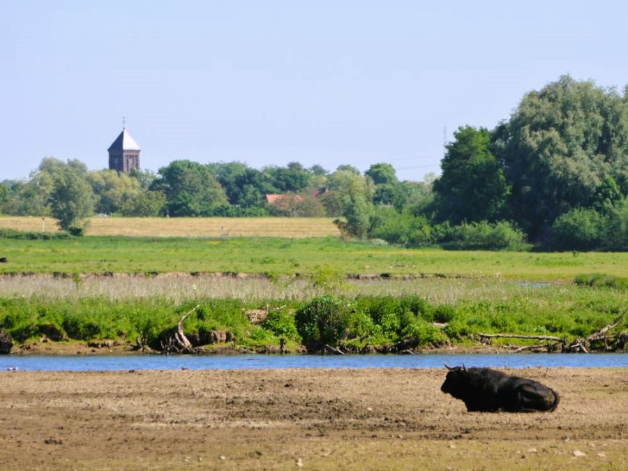 Rustig fietsen Nederland Rustig fietsen Nederland