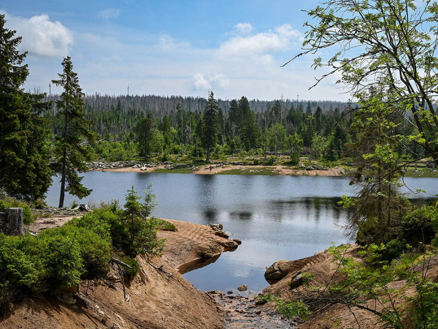 De Harz