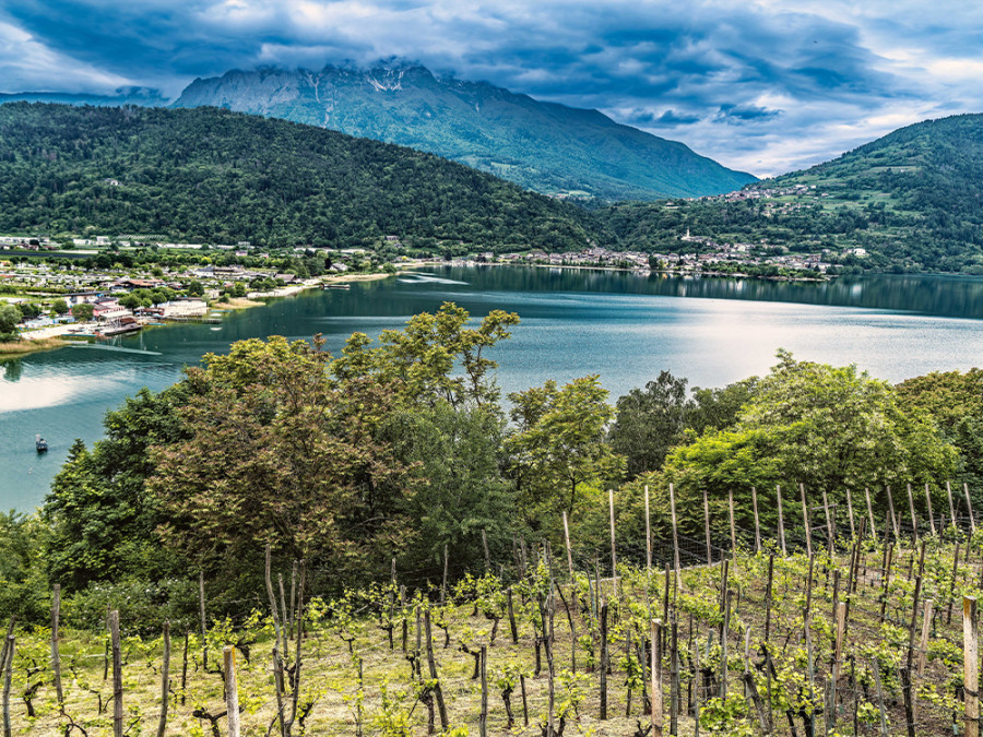 Meren in Trentino