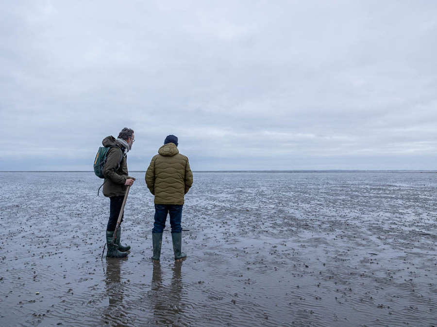 Schiermonnikoog winterwandelen