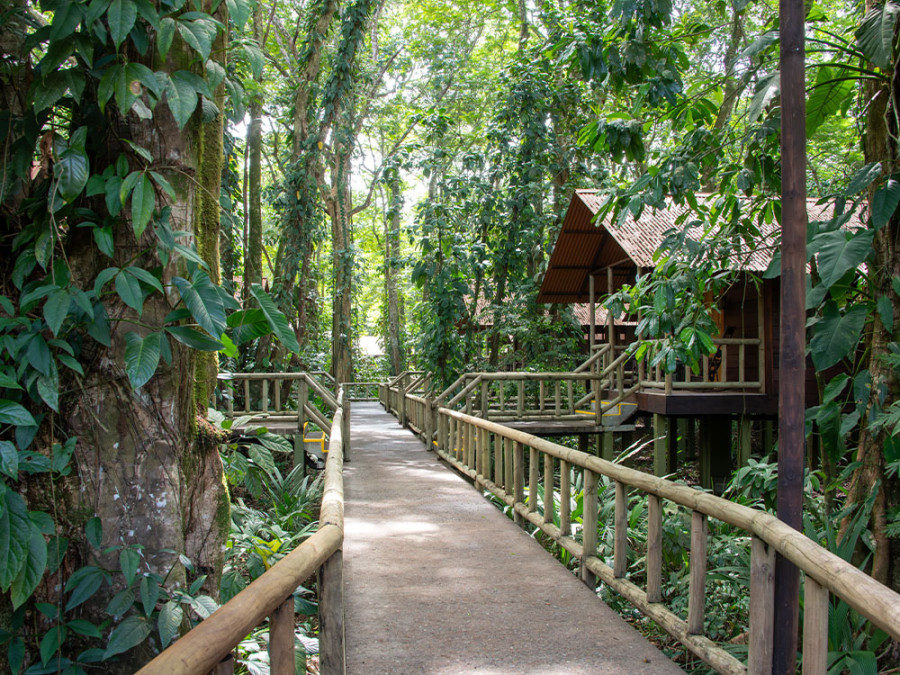 Eco-toerisme in Tortuguero