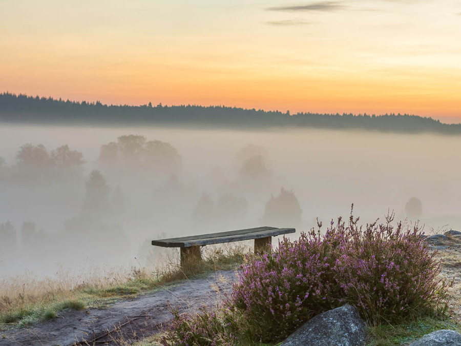 Lüneburger heide