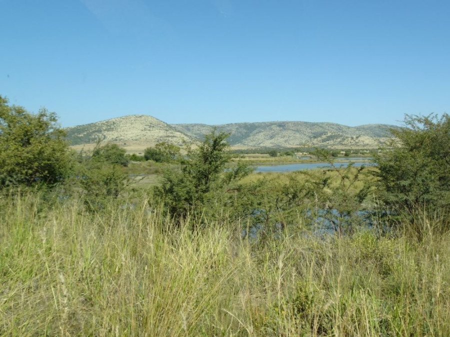 Landschap in Pilanesberg