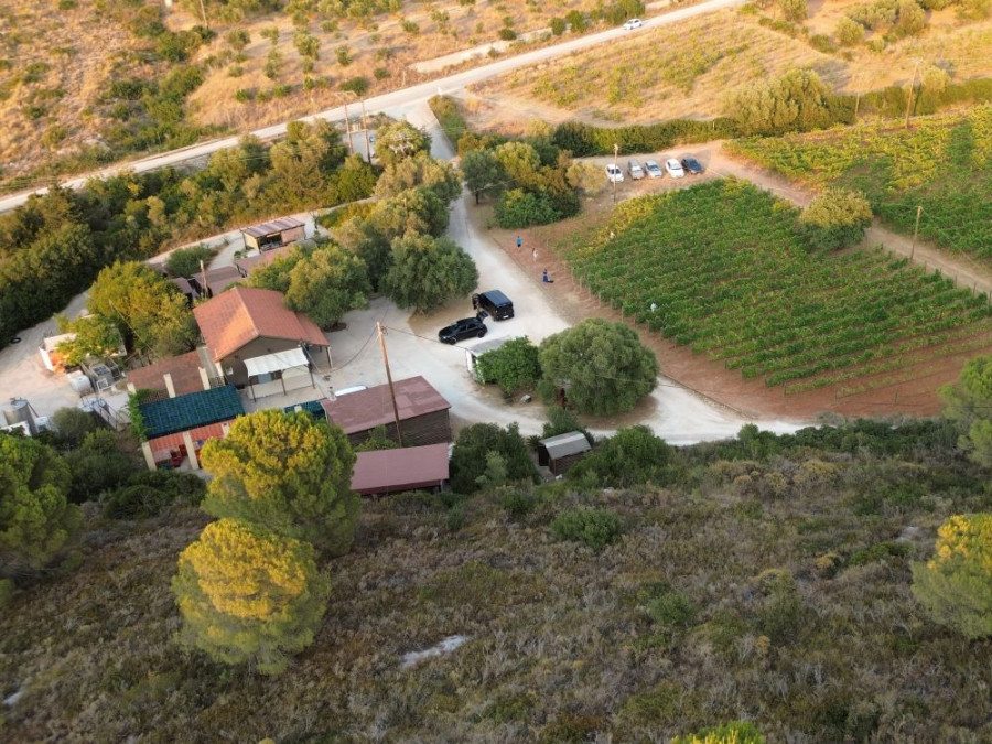 Gentilini winery Kefalonia