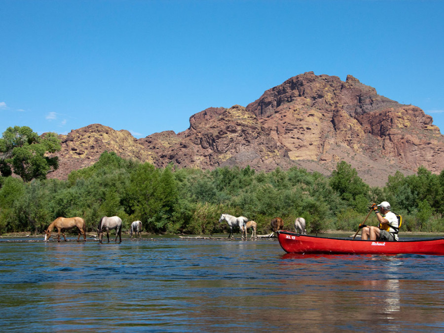 Salt River