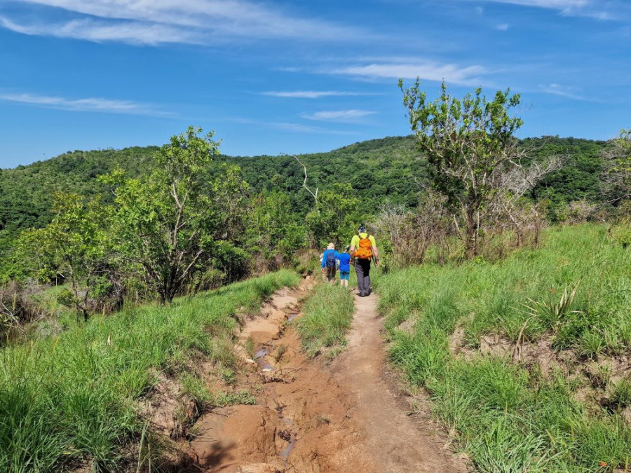 Hiken Shimba Hills