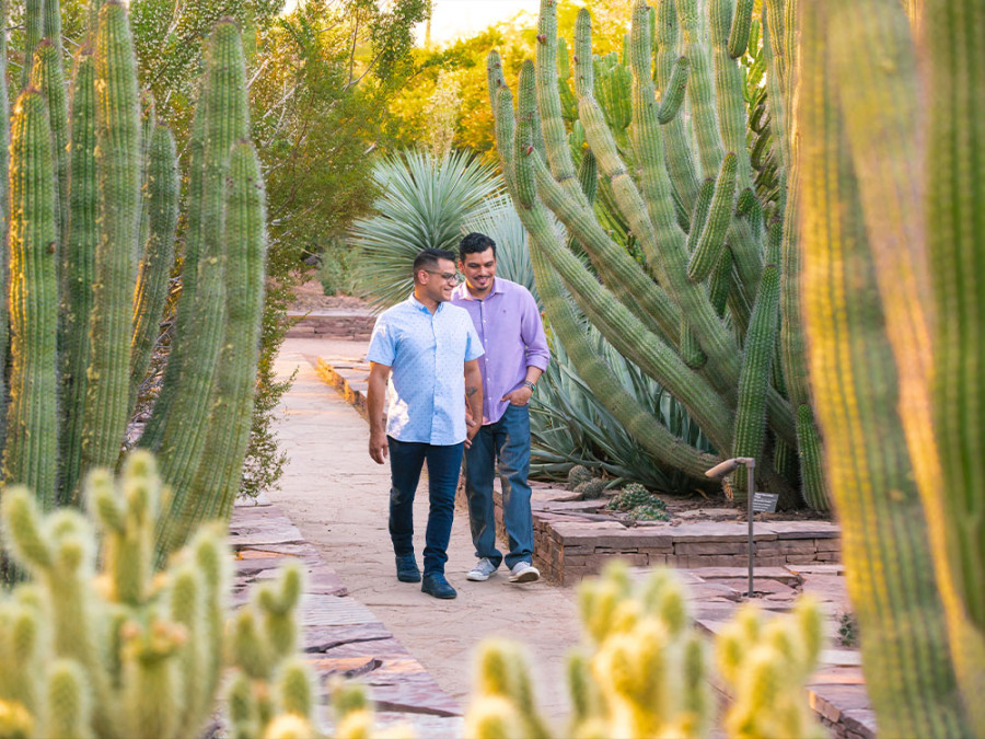 Desert Botanical Garden