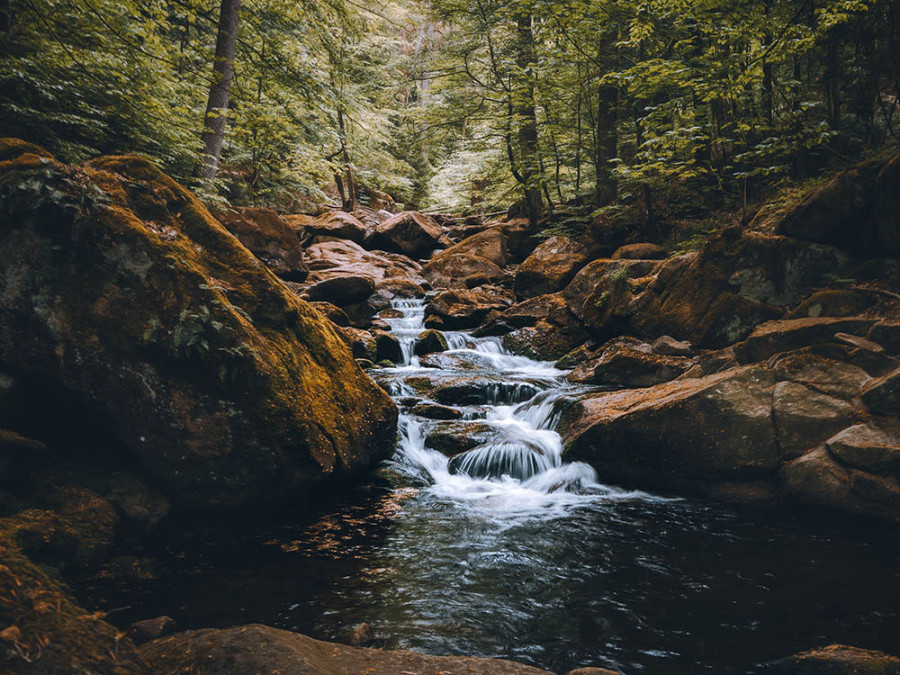 Watervallen Harz