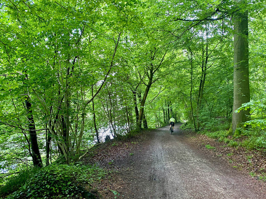 Fietsen Brabantse Wouden