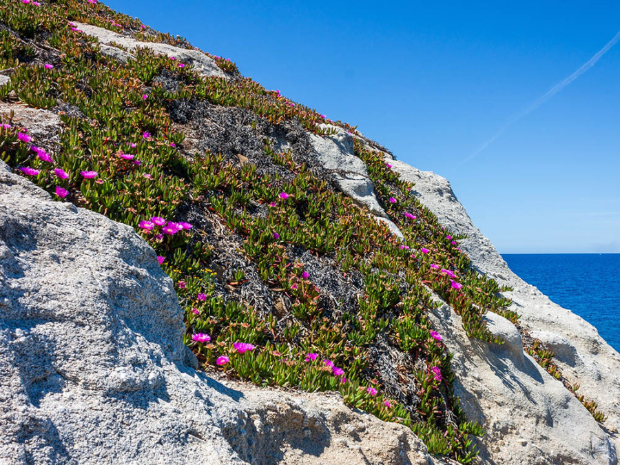 Capo Sant'Andrea