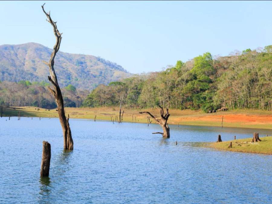 Periyar India