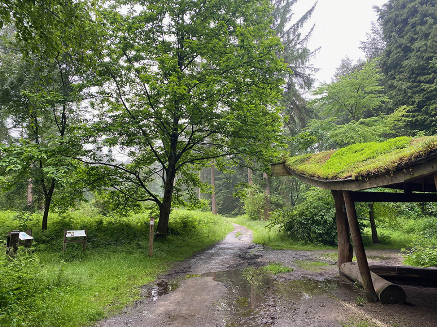 Arboretum Heverleebos