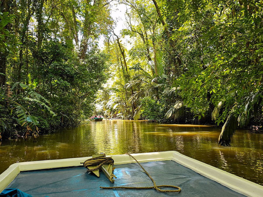 Reis naar Tortuguero National Park