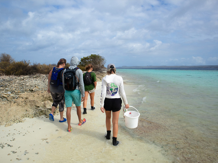 Sea Turtle Conservation Bonaire