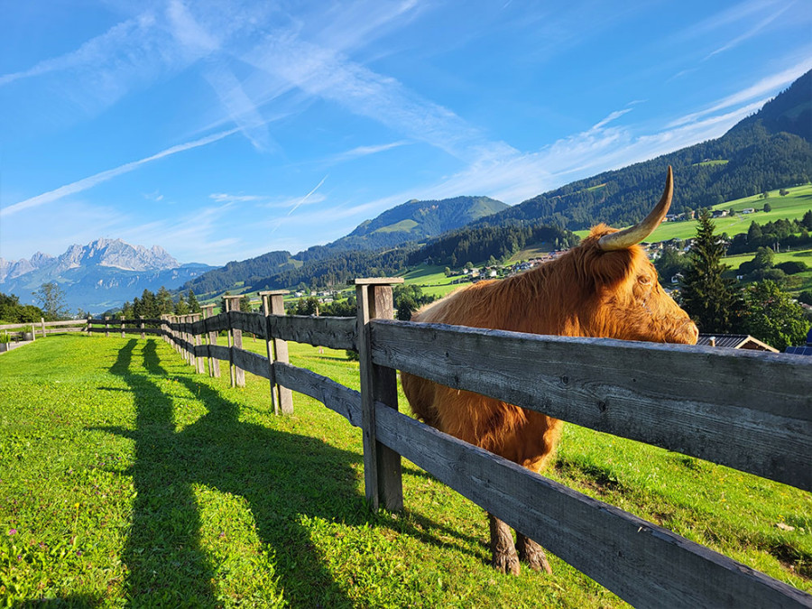 Bijzonder overnachten Fieberbrunn