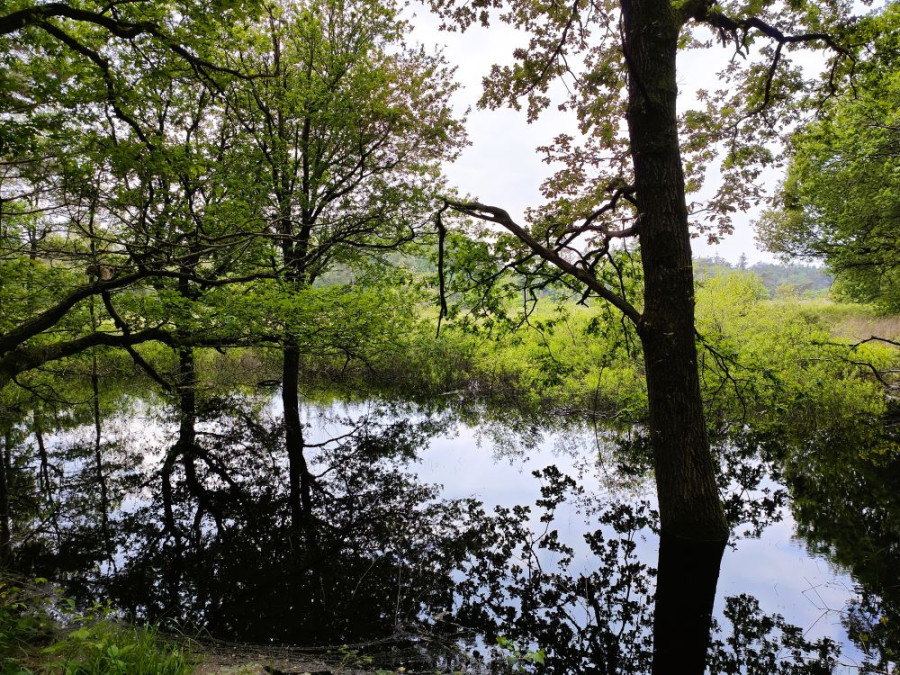 wandelroute langs vennen