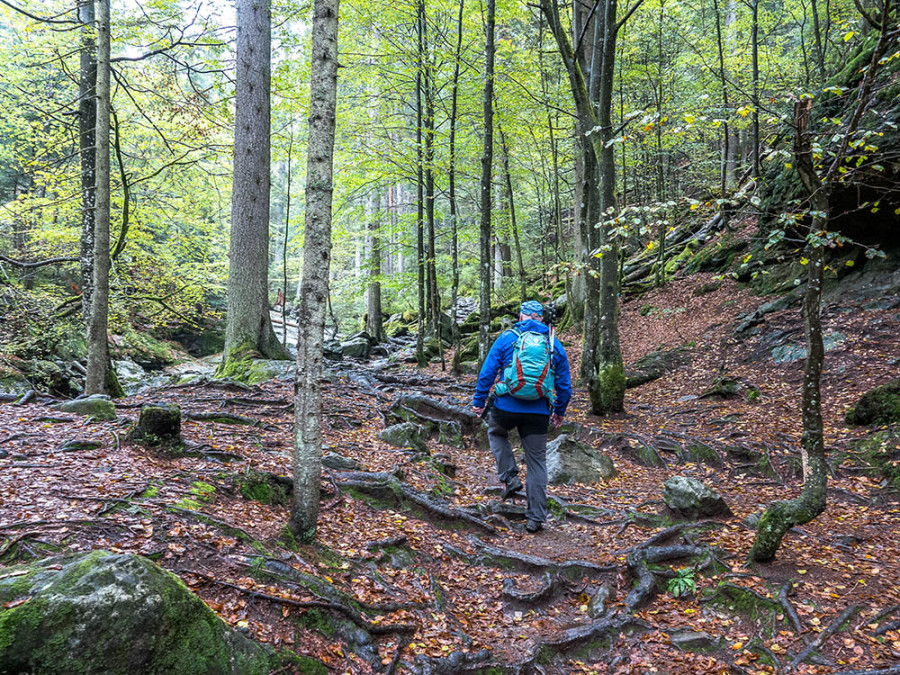 Wandelpad naar Rieslochfälle