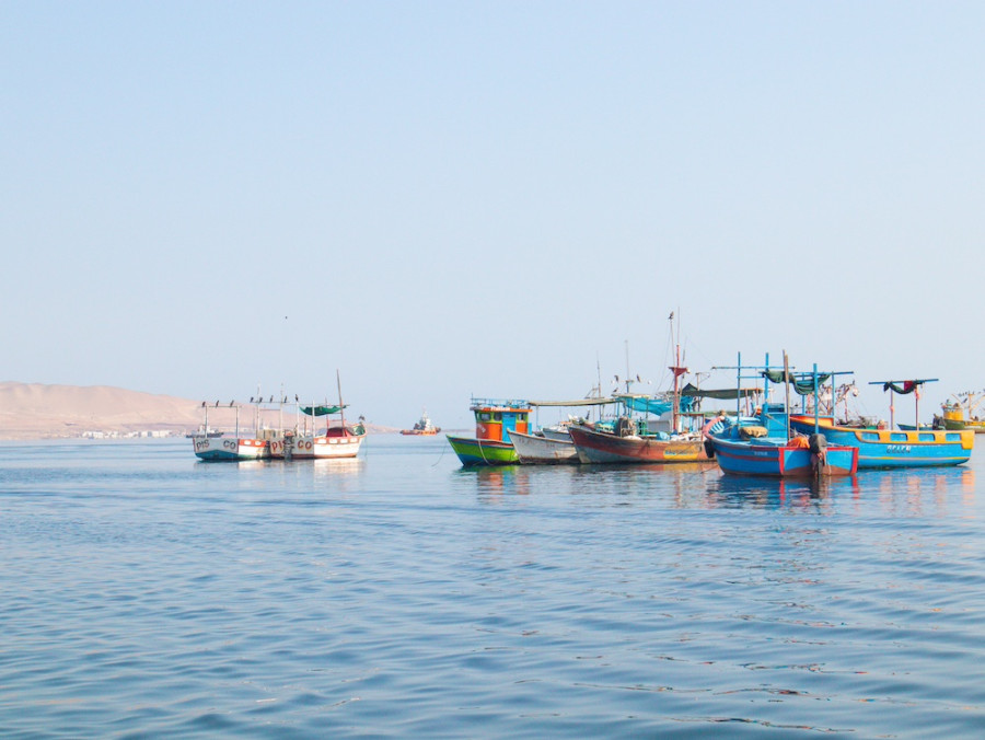 Paracas haven