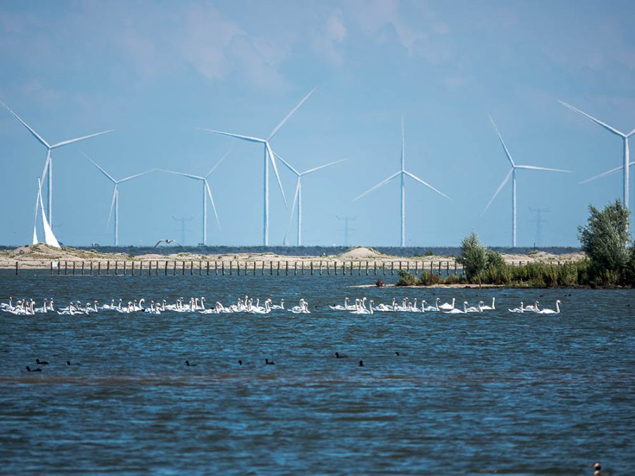 Markermeer gebied Markermeer gebied