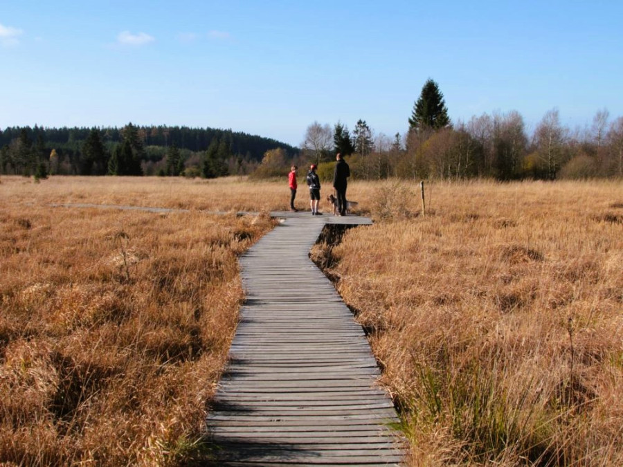 Hautes Fagnes