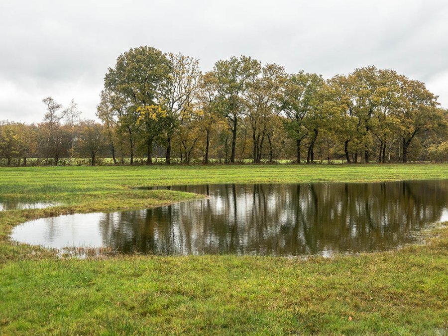 Vennen Wyldemerk Vennen Wyldemerk