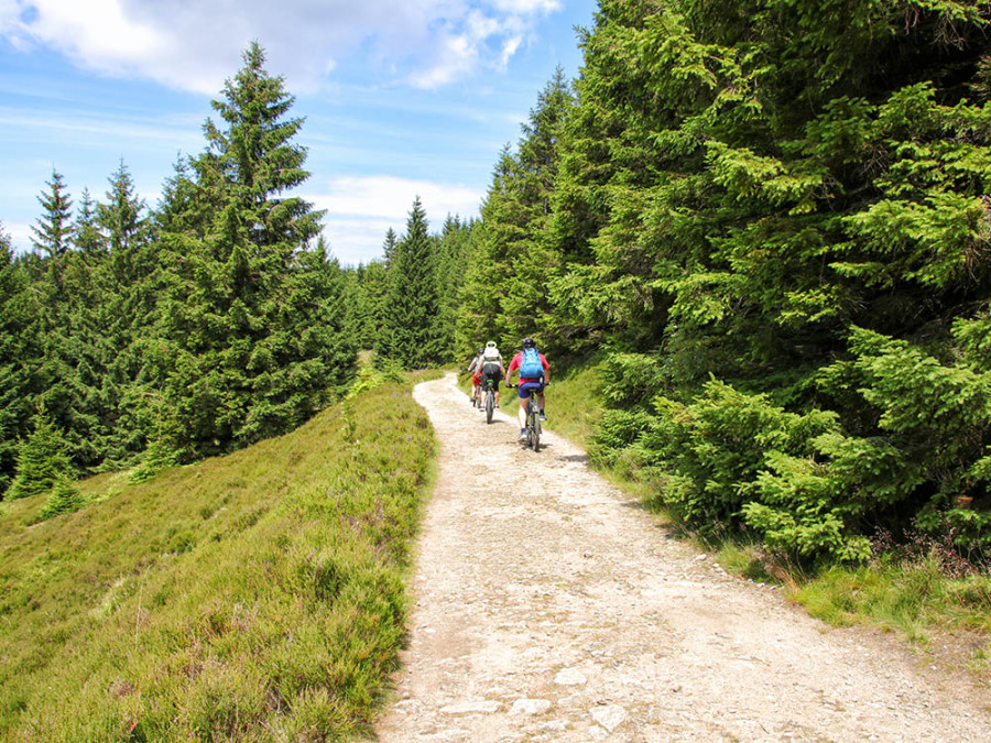 Fietsroutes de Harz