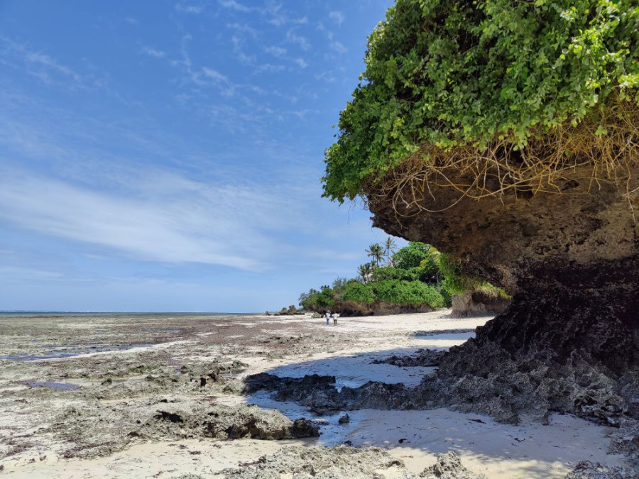 Wandeling strand Kenia