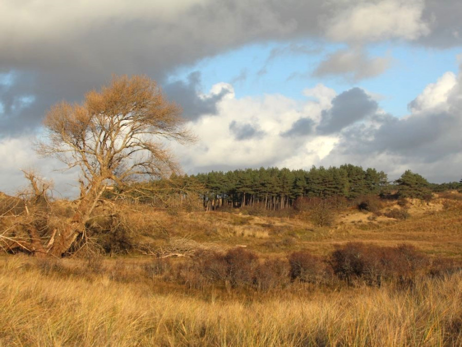 Noord-Holland bijzondere plekjes