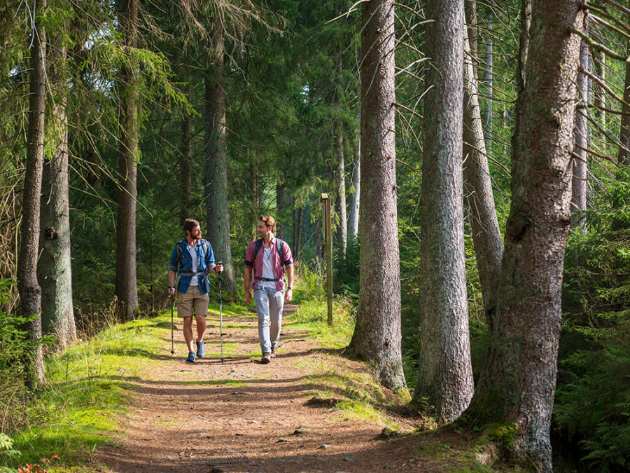 Wandelen in de Harz