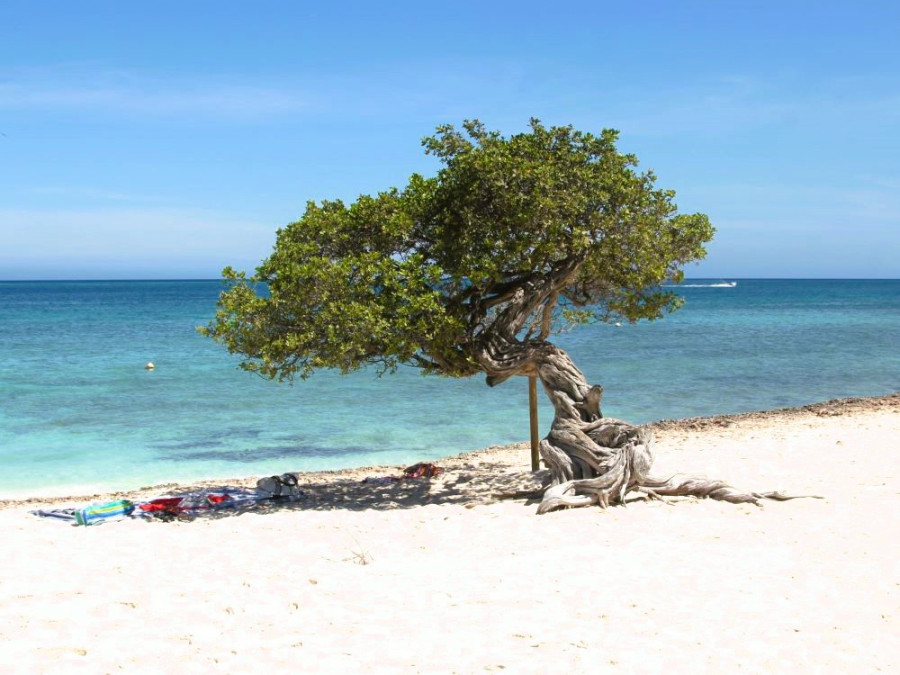 Caribische Eilanden Aruba