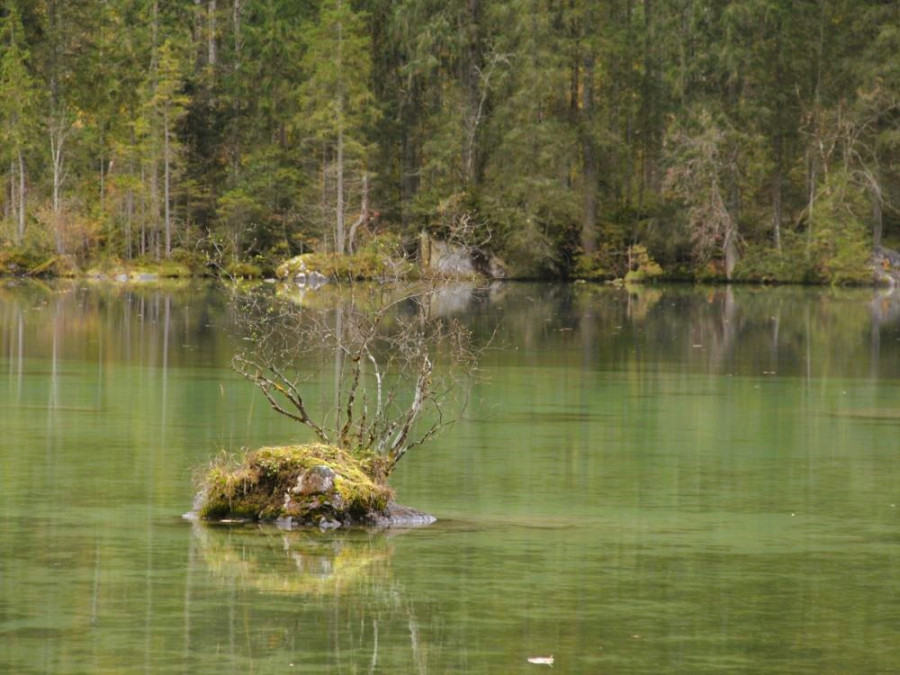 Hintersee