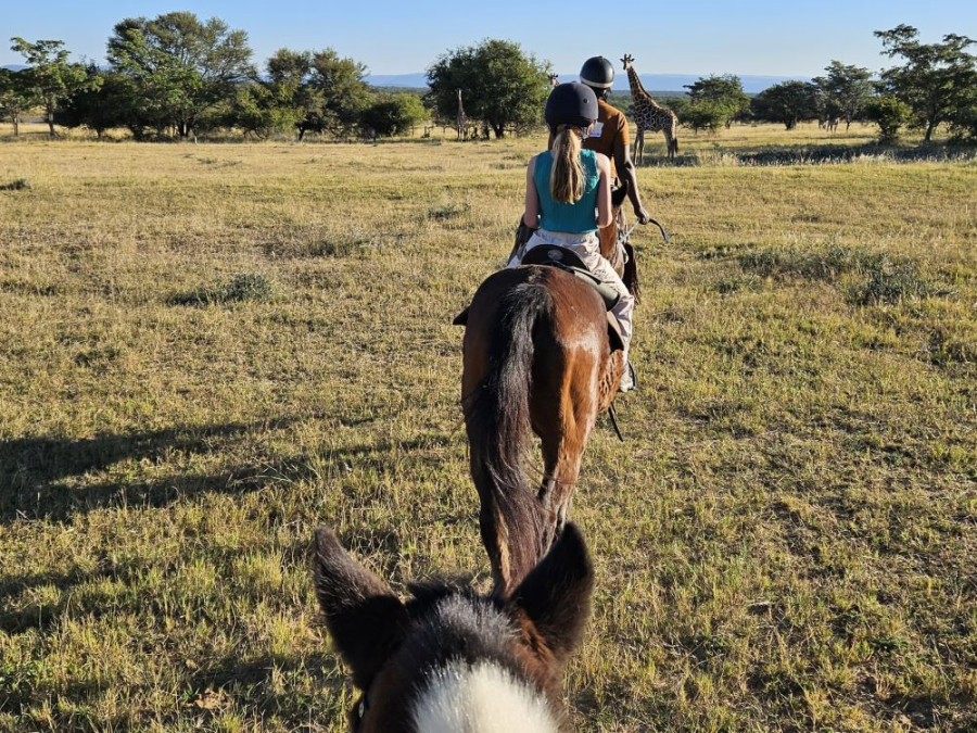 Safari paardrijden Zuid-Afrika