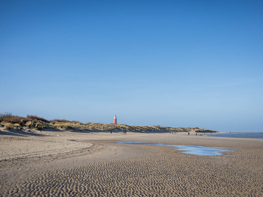 Texel winterwandeling