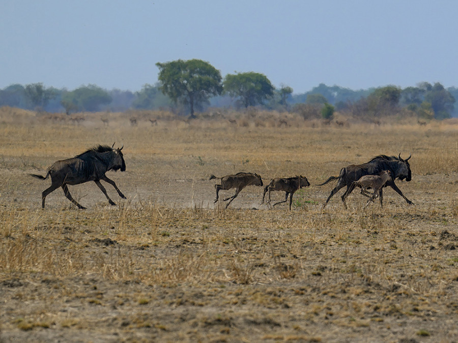 Natuur in Kafue