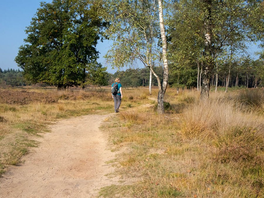 LAW Kampina LAW Kampina