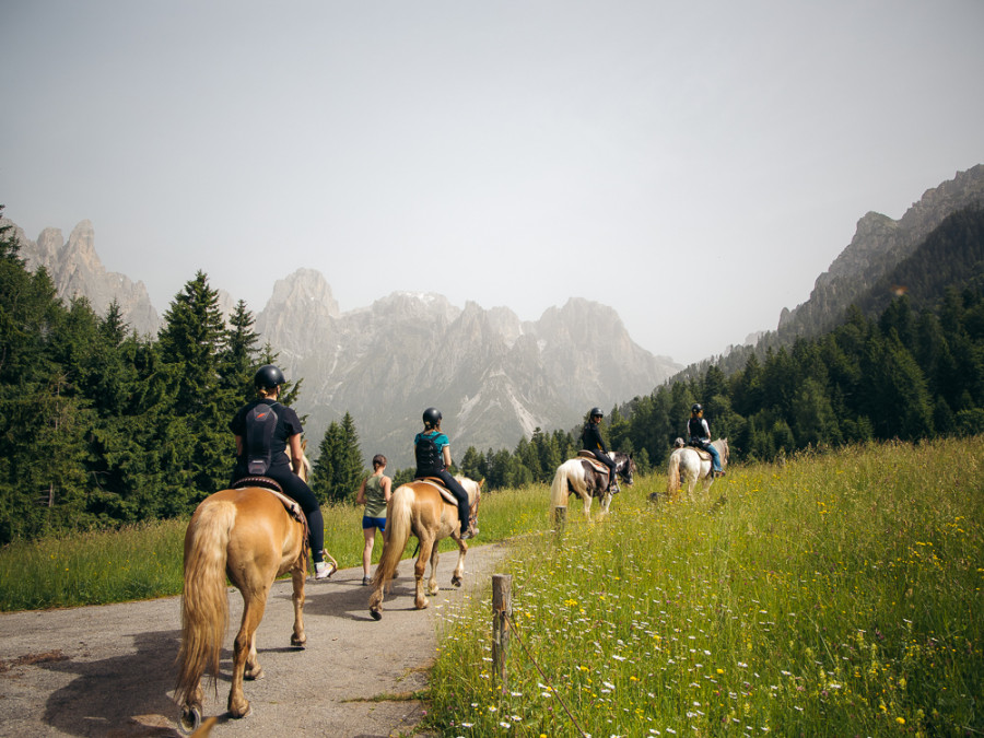 Agriturismo Trentino