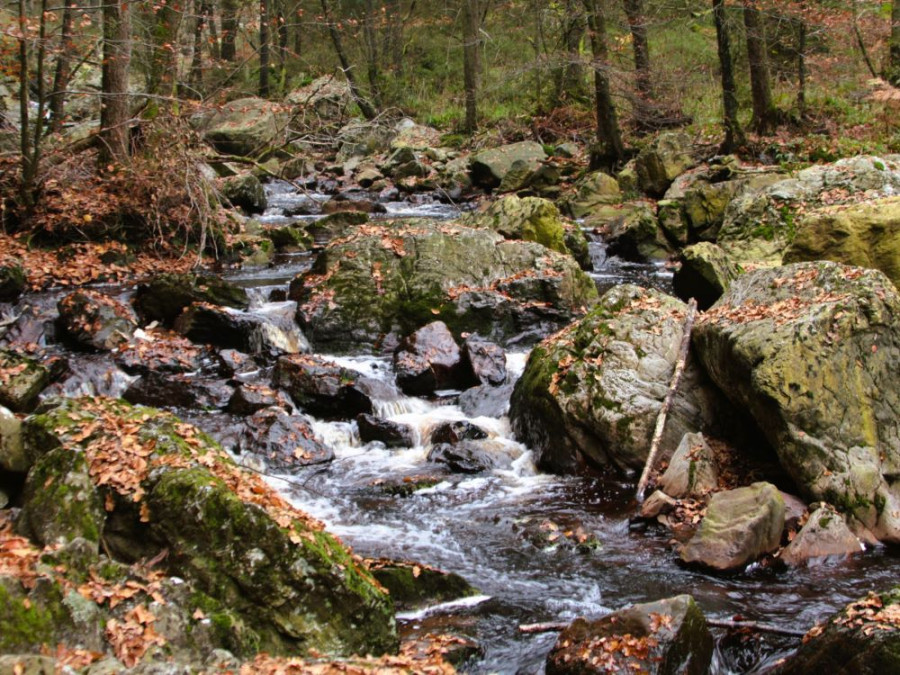 Wandelen langs de Hoëgne