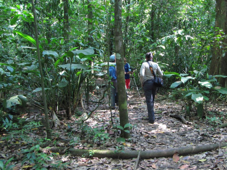 Corcovado wandeling