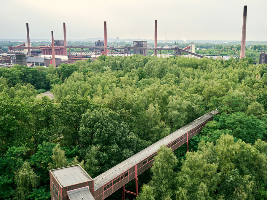 Natuur bij de Zollverein