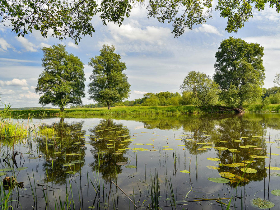 Natuur Brandenburg