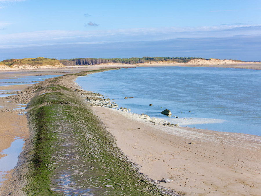 Baie d'Authie