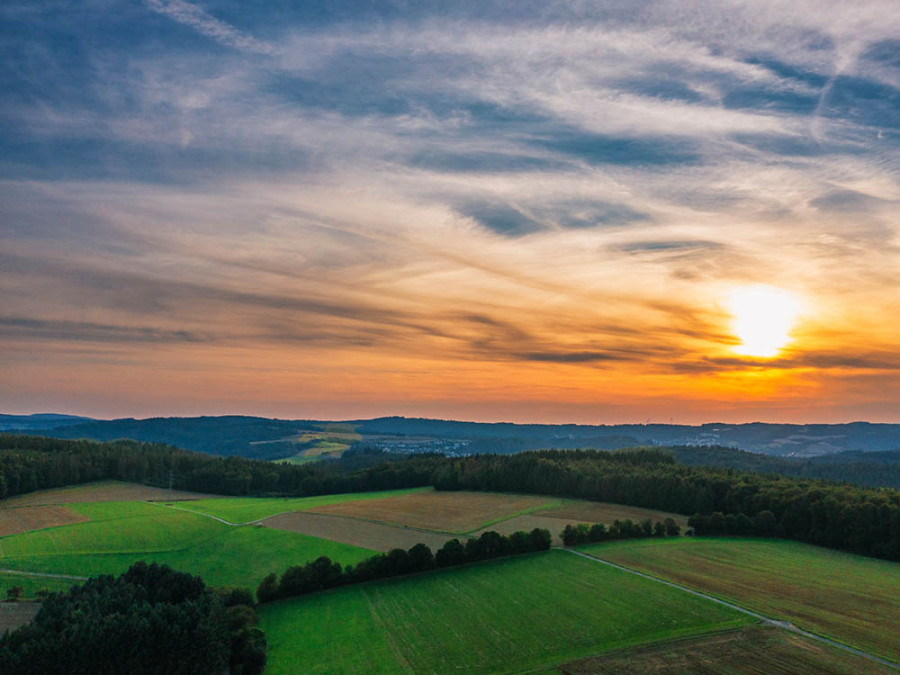 Taunus