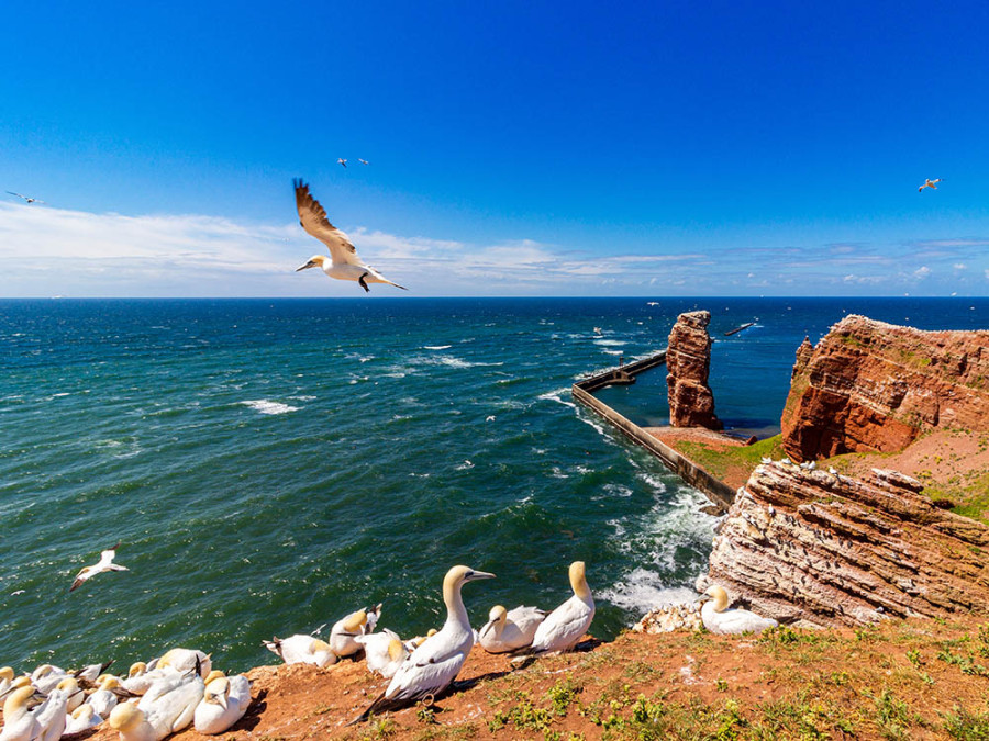 Helgoland