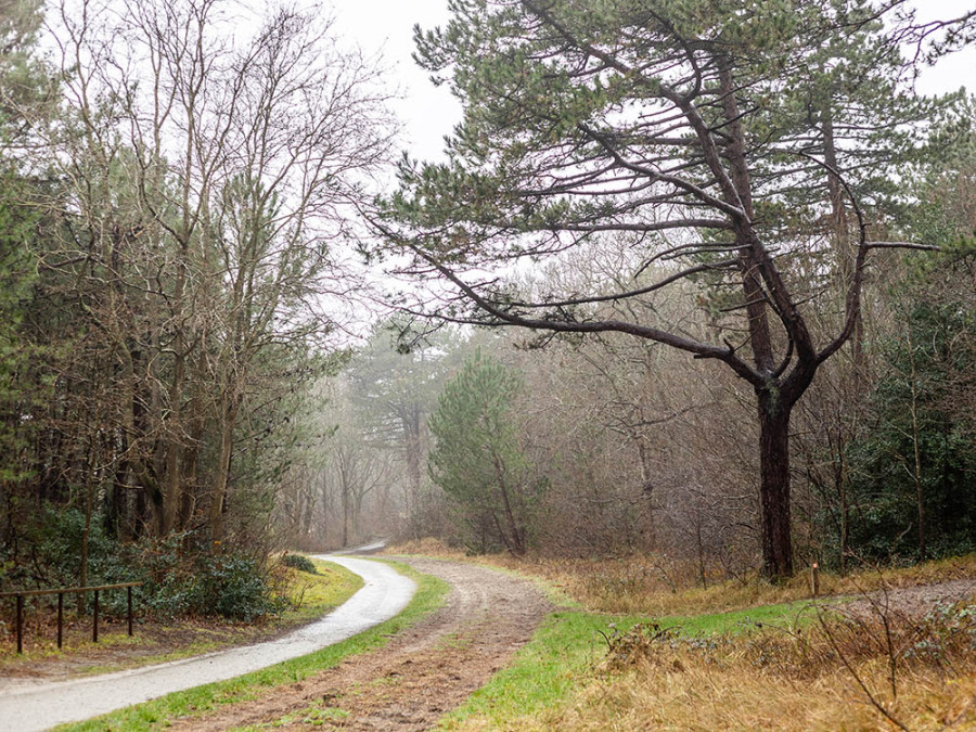 Vlieland winterwandelen