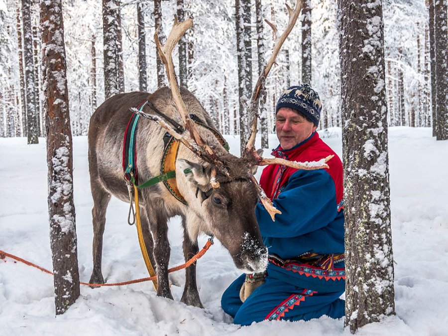 Sami en rendieren Sami en rendieren