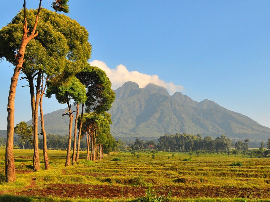 Virunga gebergte Virunga gebergte