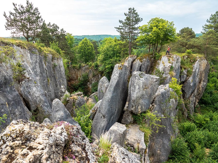 Fondry des Chiens Fondry des Chiens