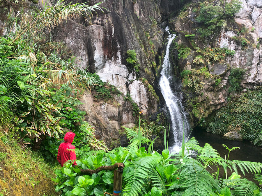 Natuur São Miguel Azoren