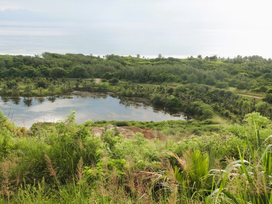 Long Pond Estuary