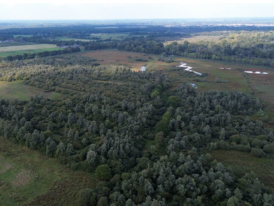 Dal van de Beerze Dal van de Beerze